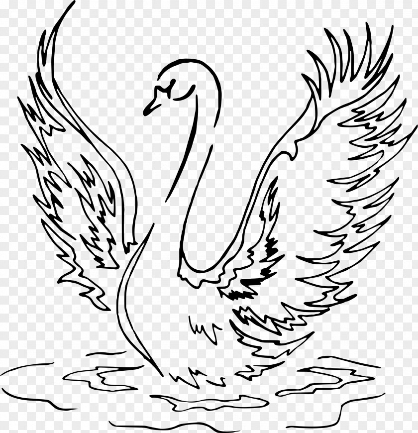 Swan Cygnini Drawing Line Art PNG