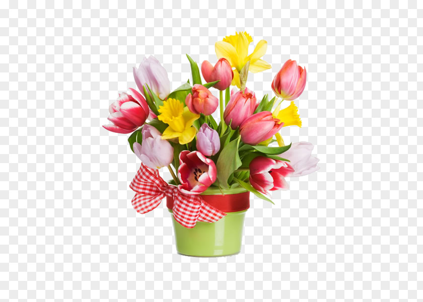 Beautiful Tulip Flower Pictures Flowerpot Stock Photography Bouquet Clip Art PNG