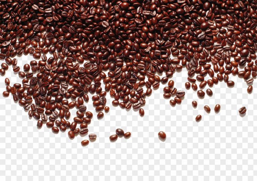 Coffee Beans Shading Free Downloads Bourbon Caffxe8 Mocha Irgachefe PNG