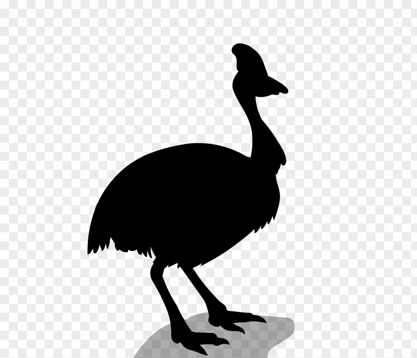 Common Ostrich Bird Emu Sticker Goose PNG
