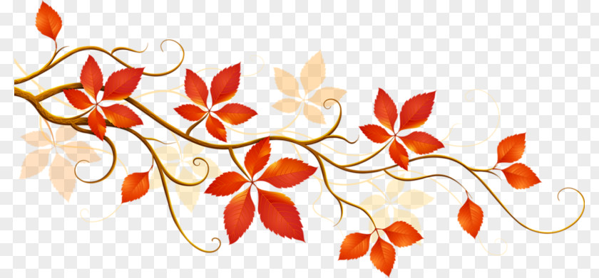 Maple Leaf Autumn Color Flower Clip Art PNG