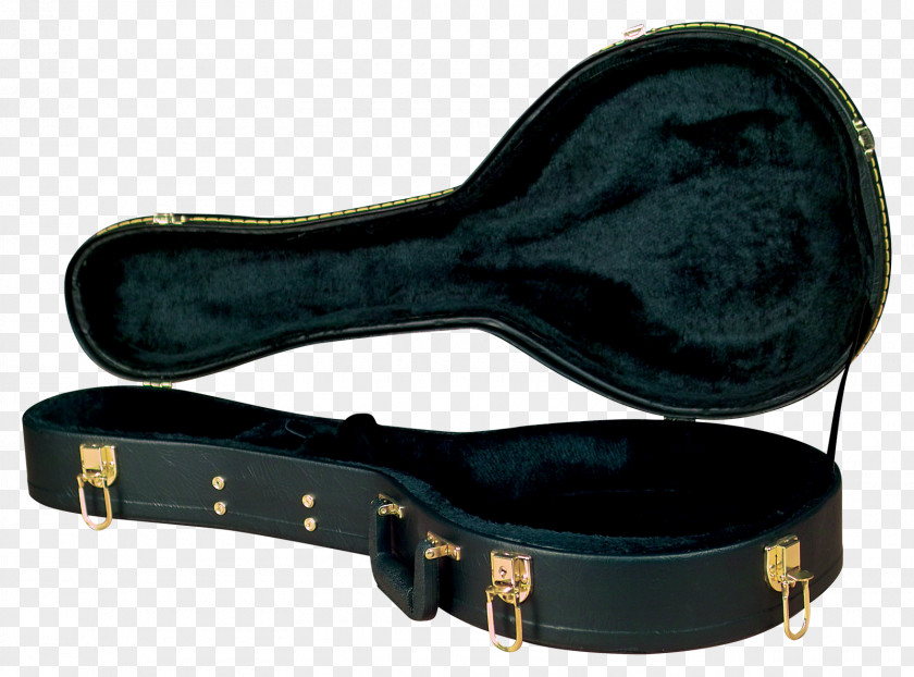 Musical Instruments Lute Mandolin Gig Bag Guitar PNG