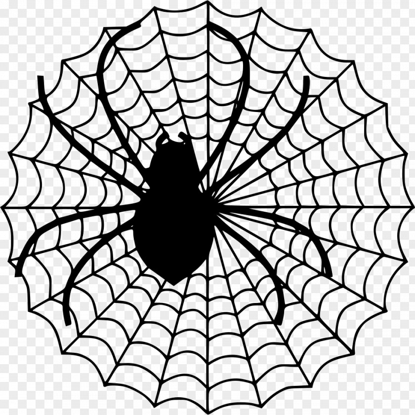 Net Spider Web Clip Art PNG