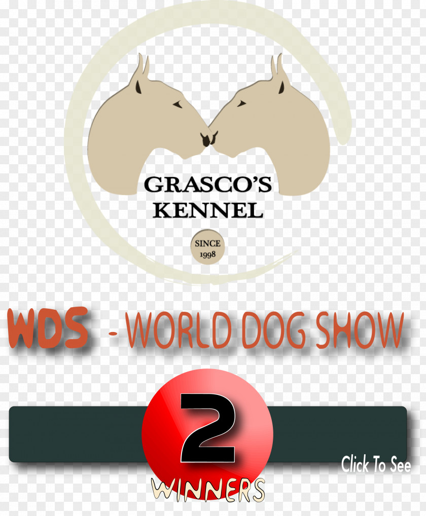 Norfolk Terrier Miniature Bull World Dog Show Conformation European PNG