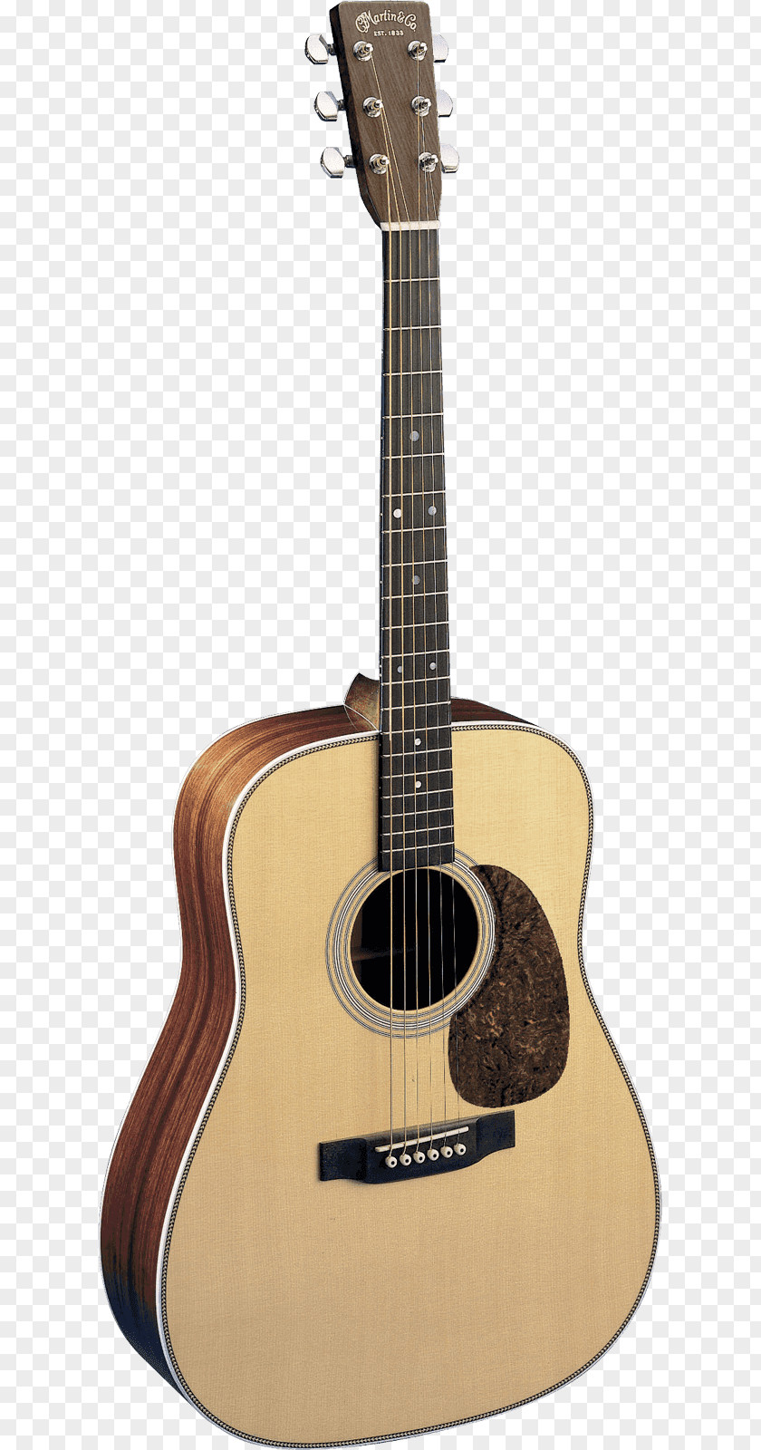 Acoustic Guitar Acoustic-electric Cutaway PNG