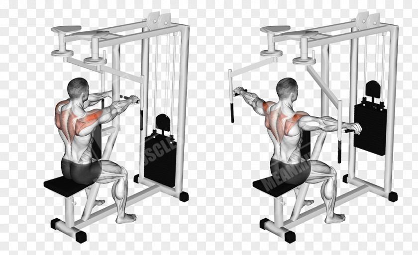 Fly Machine Exercise Front Raise Muscle PNG