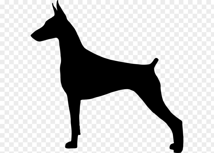 Manchester Terrier English Toy Dog Silhouette PNG