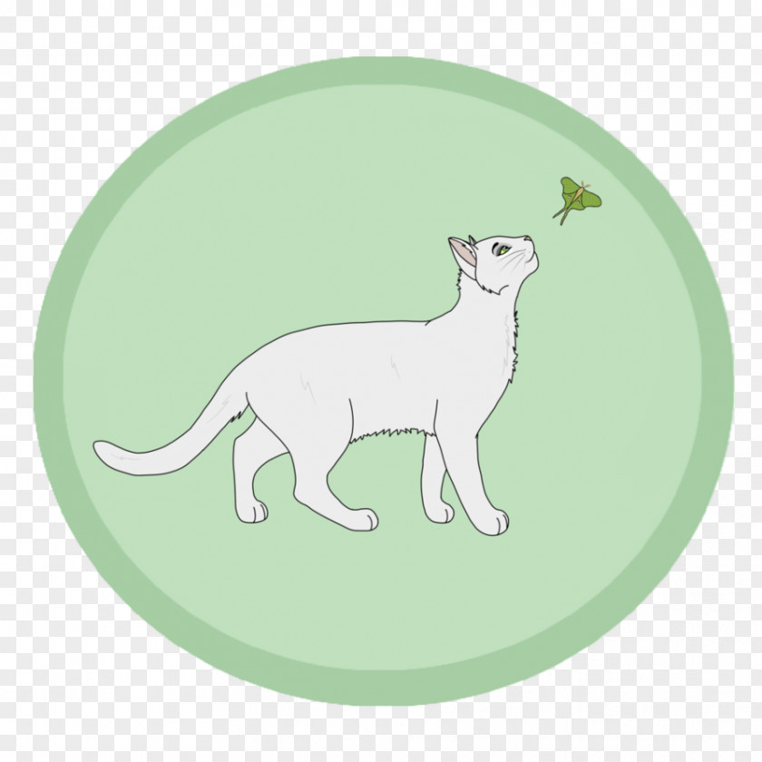 Moth Drawing Whiskers Cat Dog Green Mammal PNG