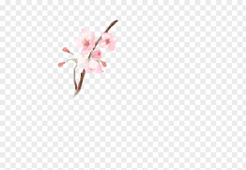 Peach Flowers White Qzone Petal Angle Pattern PNG