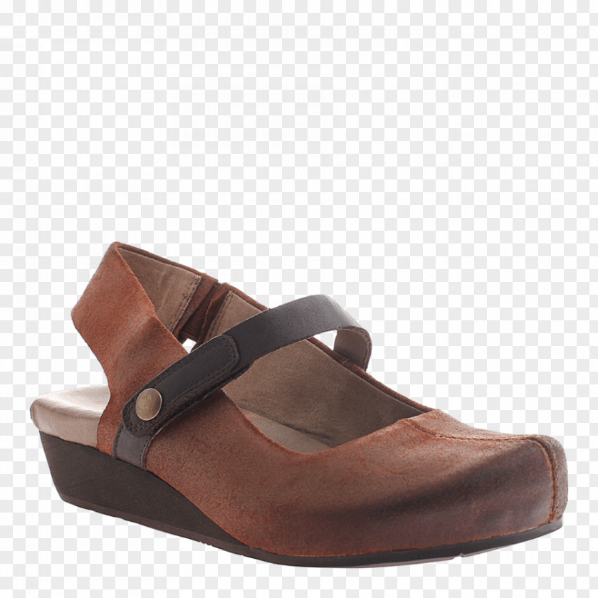 Sandal Shoe Footwear Sneakers Mule PNG