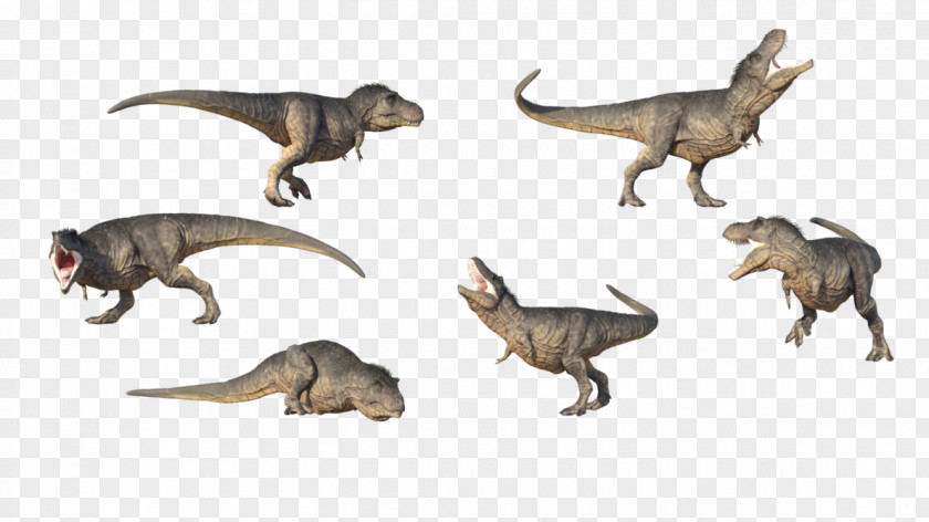T Rex Tyrannosaurus Dinosaur DeviantArt PNG