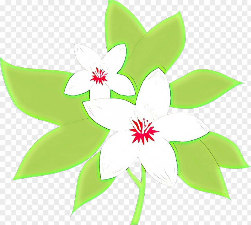 Wildflower Pedicel Green Leaf Background PNG