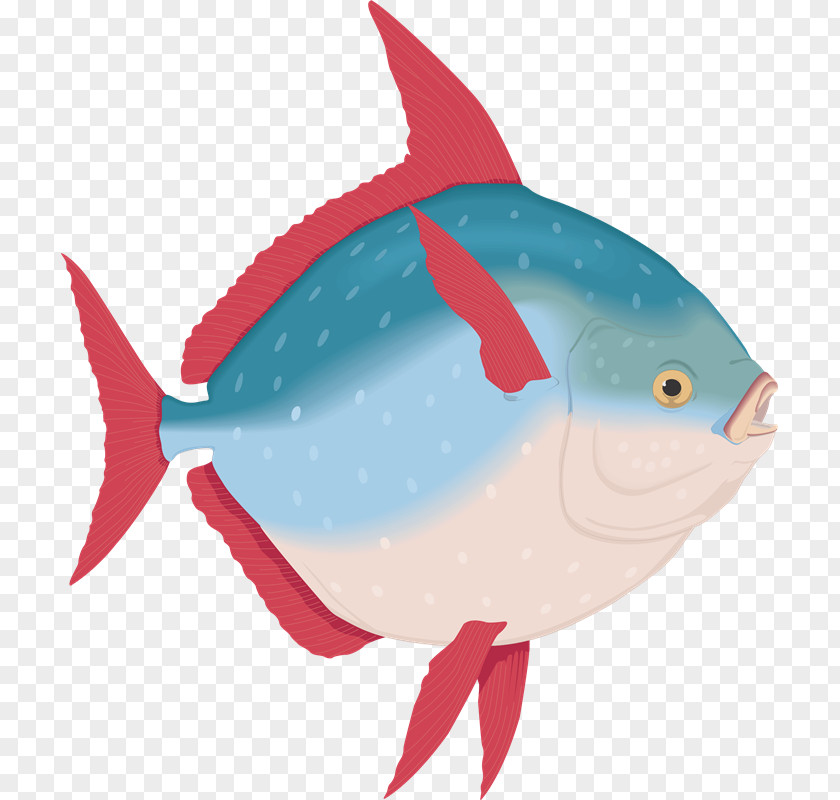 Fish Ocean Sunfish Animal Malayalam PNG