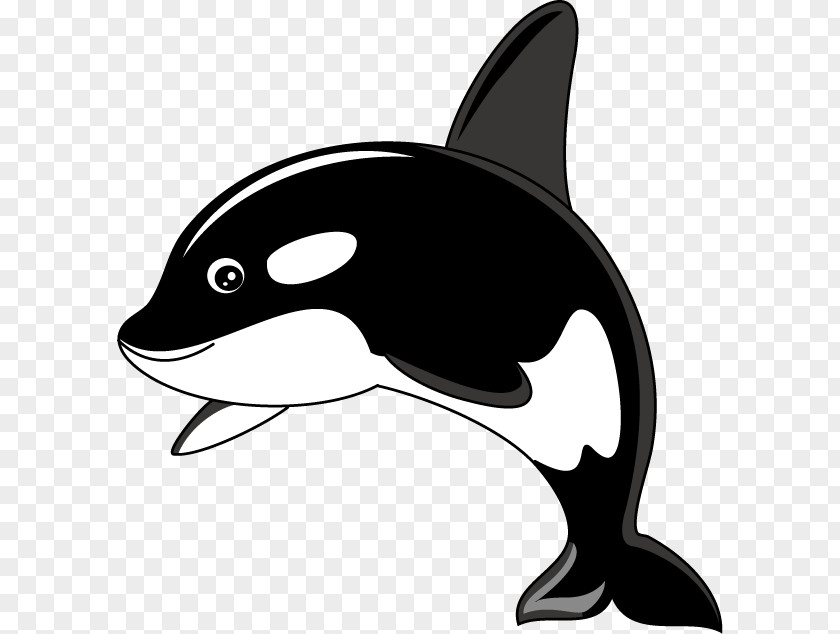 Orca Cliparts Killer Whale Humpback Clip Art PNG
