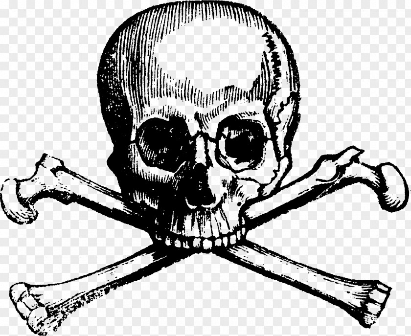 Skull And Bones Crossbones Human Symbolism PNG