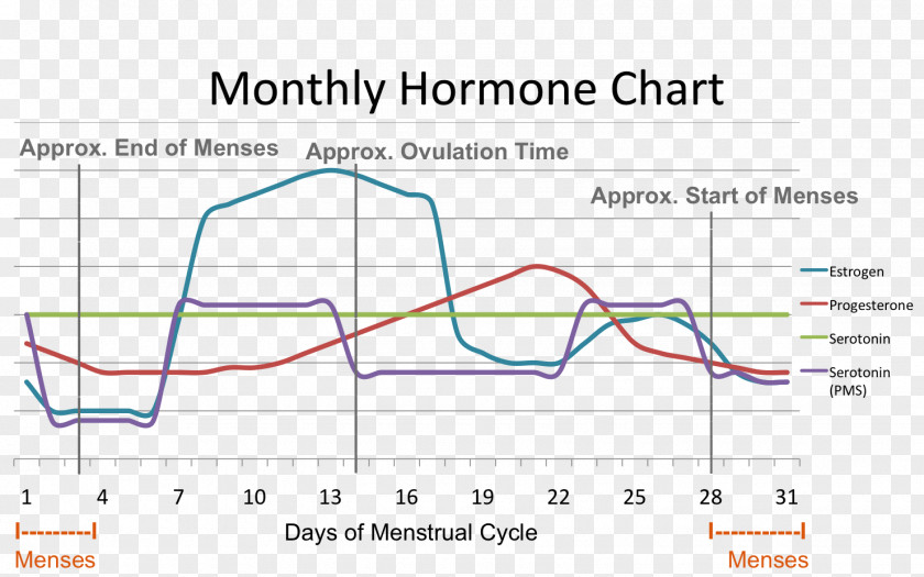 Woman Menstrual Cycle Menstruation Premenstrual Syndrome Hormone Estrogen PNG