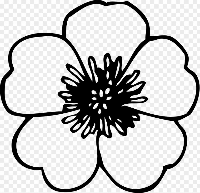 Anemone Flower Cliparts Black And White Clip Art PNG