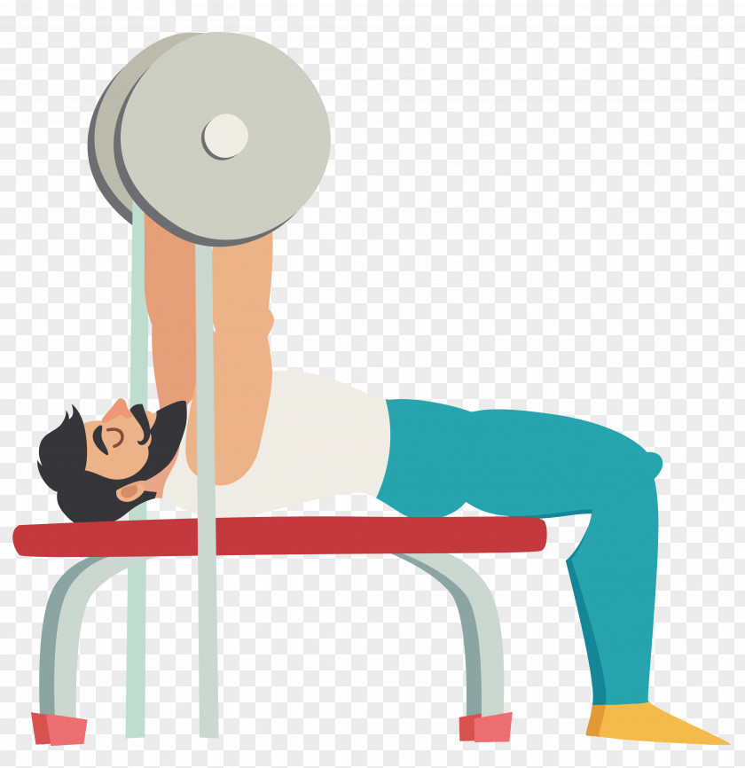 Cartoon Muscular Man Holding Barbell Movement Bench Press Physical Exercise Squat PNG