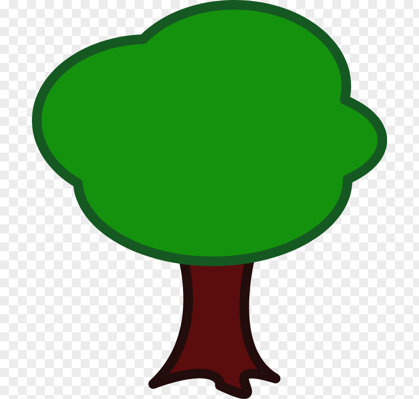 Evergreen Tree Clipart Oak Clip Art PNG