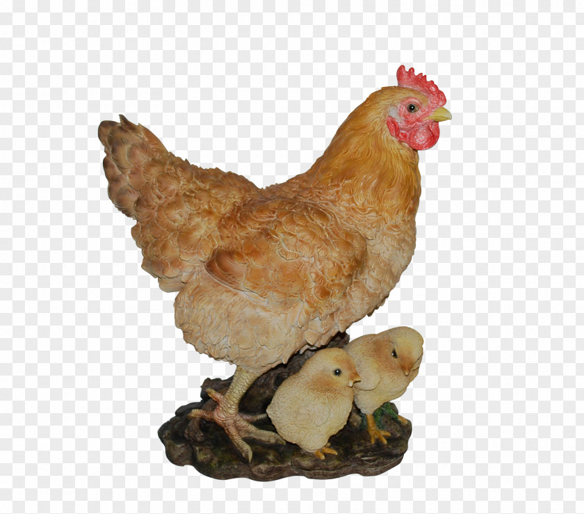 Hen Chicken Livestock Farm Galliformes Bird PNG