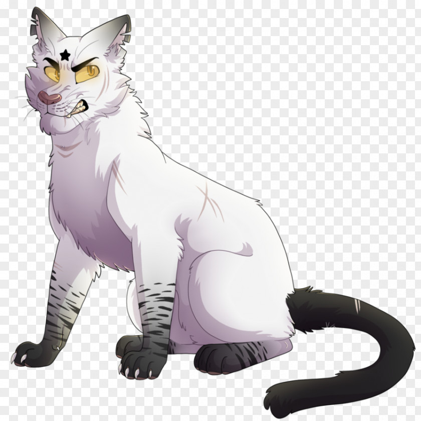 Kitten Whiskers Domestic Short-haired Cat Warriors PNG