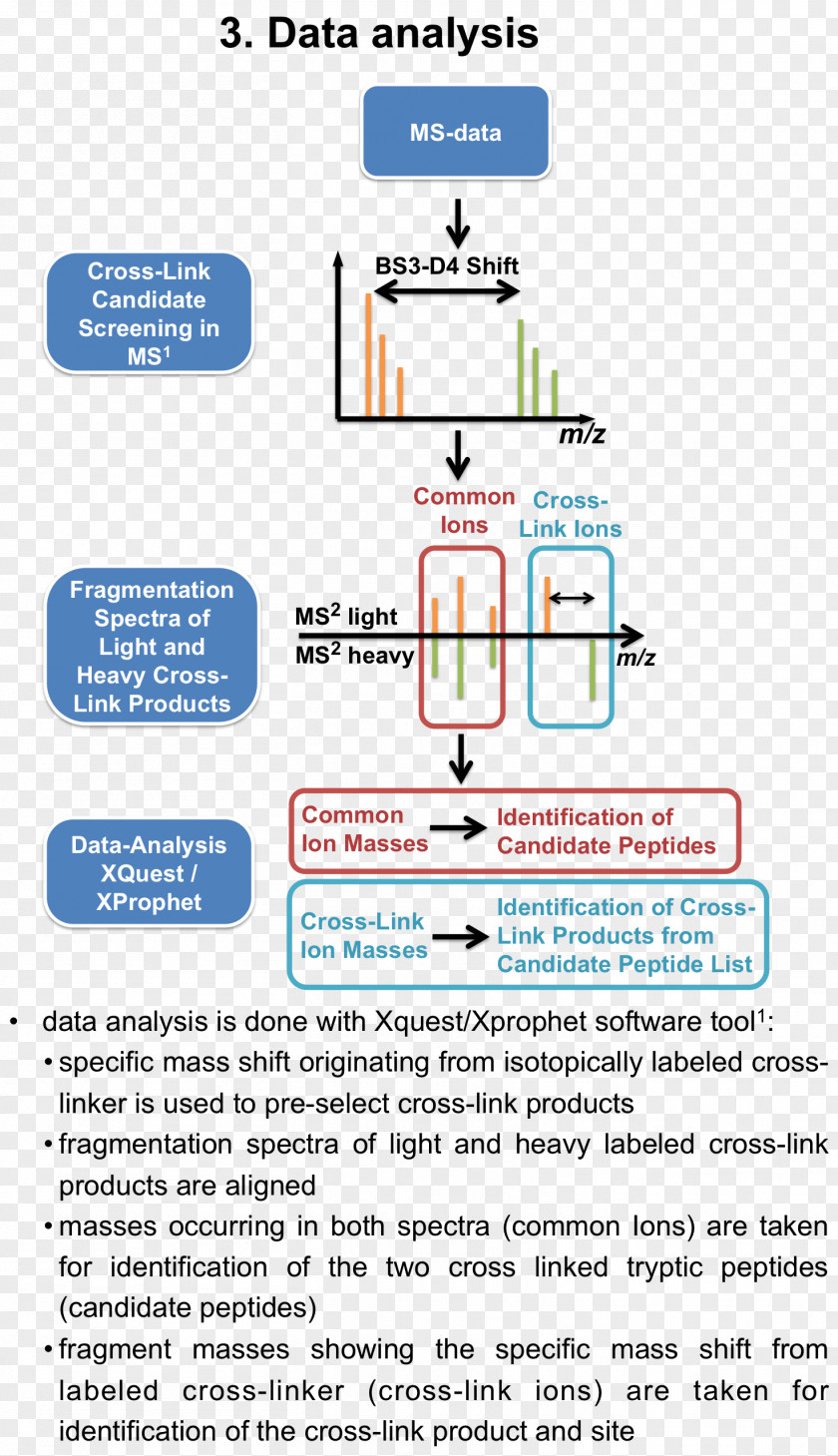 Mass Spectrometry Cross-link Immunoprecipitation Zentrum Fuer Molekulare Biologie, University Of Heidelberg Affinity Chromatography PNG