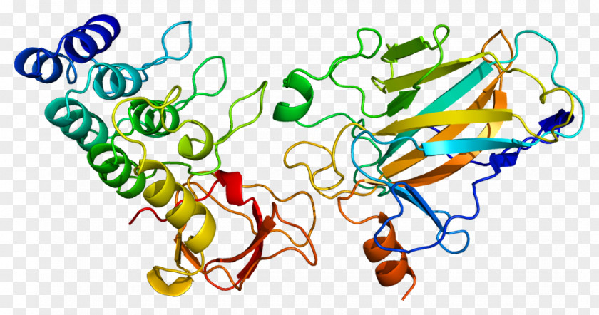 Mito Class TP53BP2 Tumor Suppressor Gene Protein PNG
