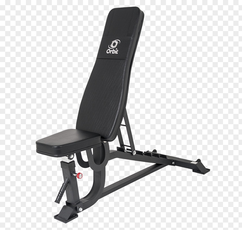 Weight Bench Exercise Machine Fitness Centre Physical PNG