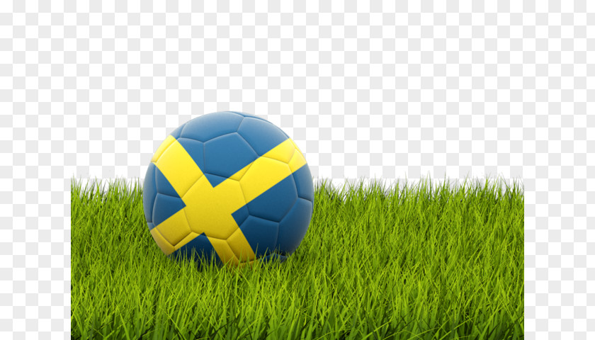 Football Sweden National Team UEFA Euro 2016 Albania World Cup PNG