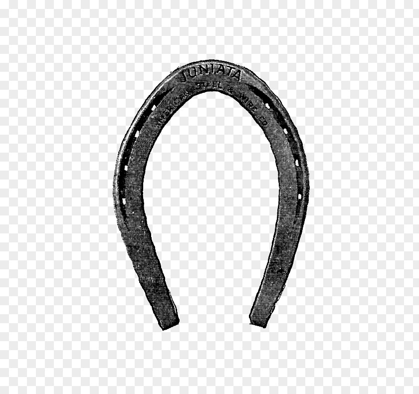 Horseshoe Mustang Clip Art PNG