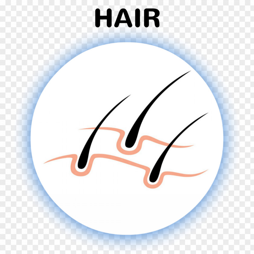 Laser Hair Removal Logo Brand Line Font PNG