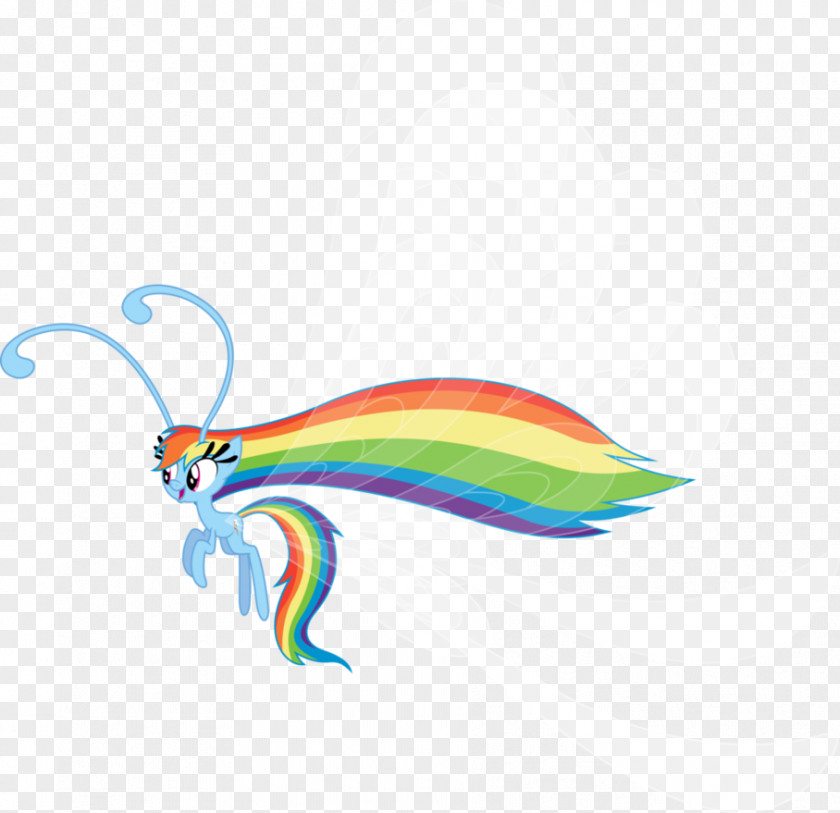 Little Princess Rainbow Dash Twilight Sparkle Rarity Pony Fluttershy PNG