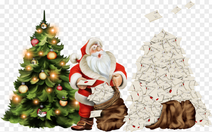 Santa Spruce Christmas Tree Decoration Fir PNG