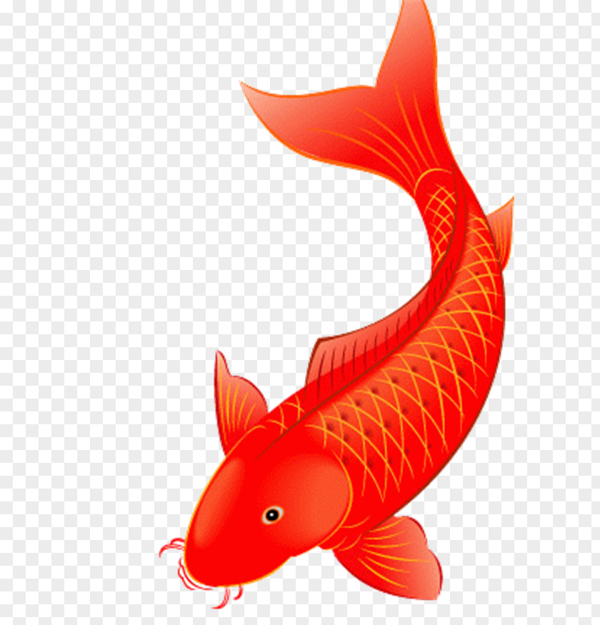 Xing Koi Poster Red PNG
