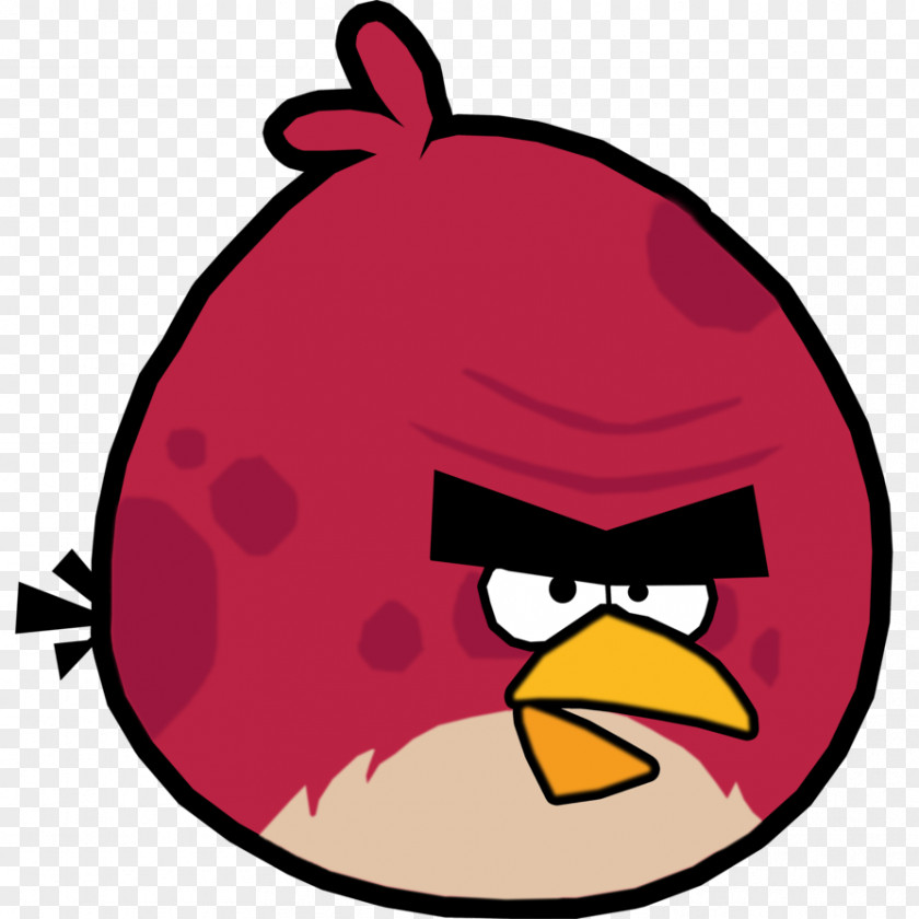 Big Brother Angry Birds Go! Seasons Star Wars II Space PNG