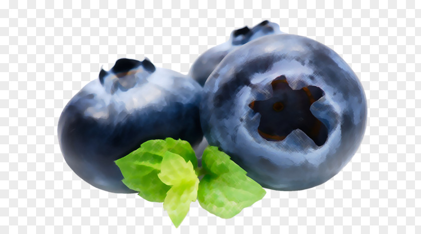 Blueberry Tea Bilberry Juice Food PNG