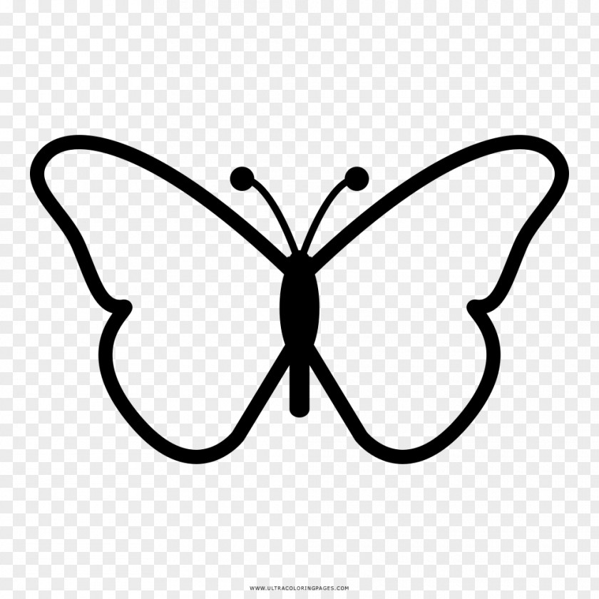 Butterfly Monarch Drawing Clip Art PNG