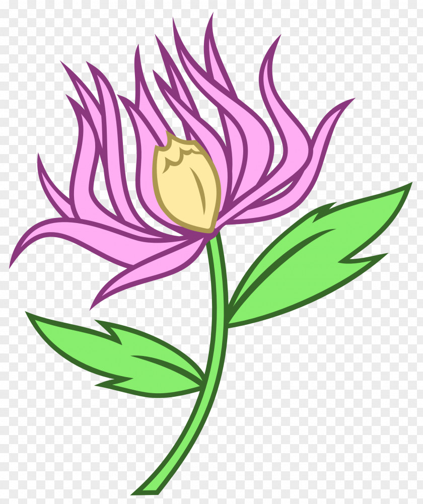 Chrysanthemum Cut Flowers Pony Clip Art PNG