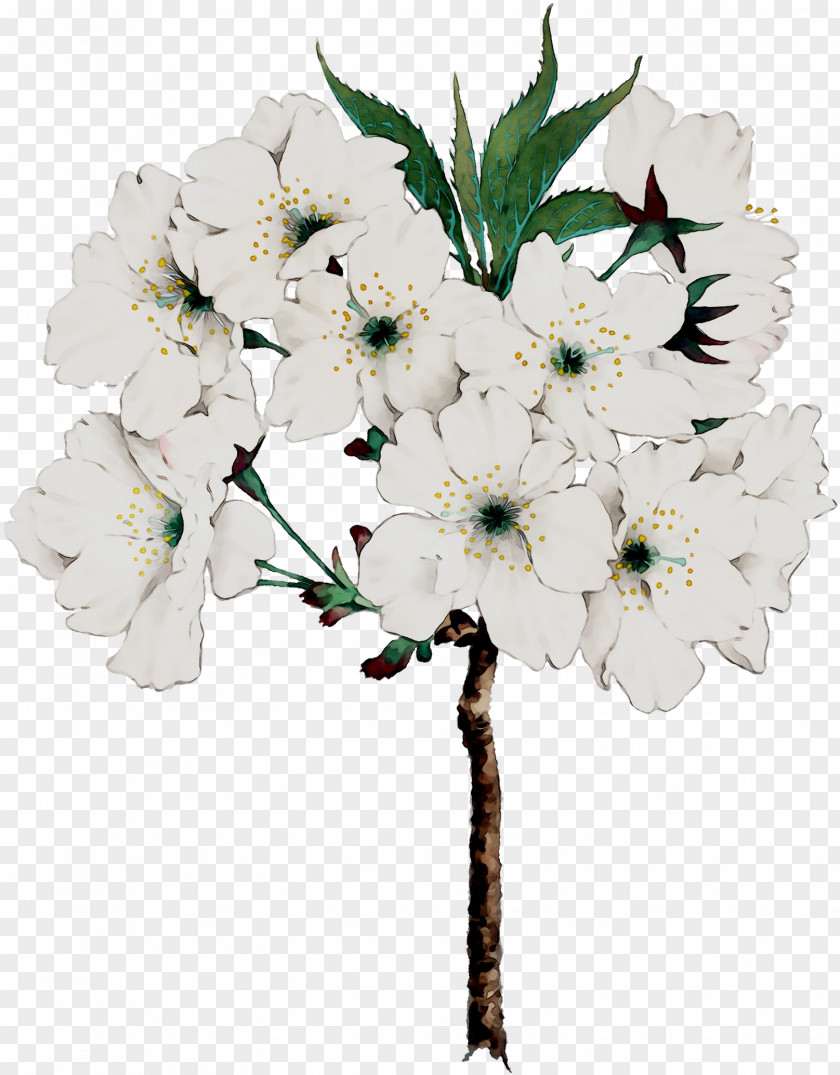 Cut Flowers Twig Floral Design Flower Bouquet PNG