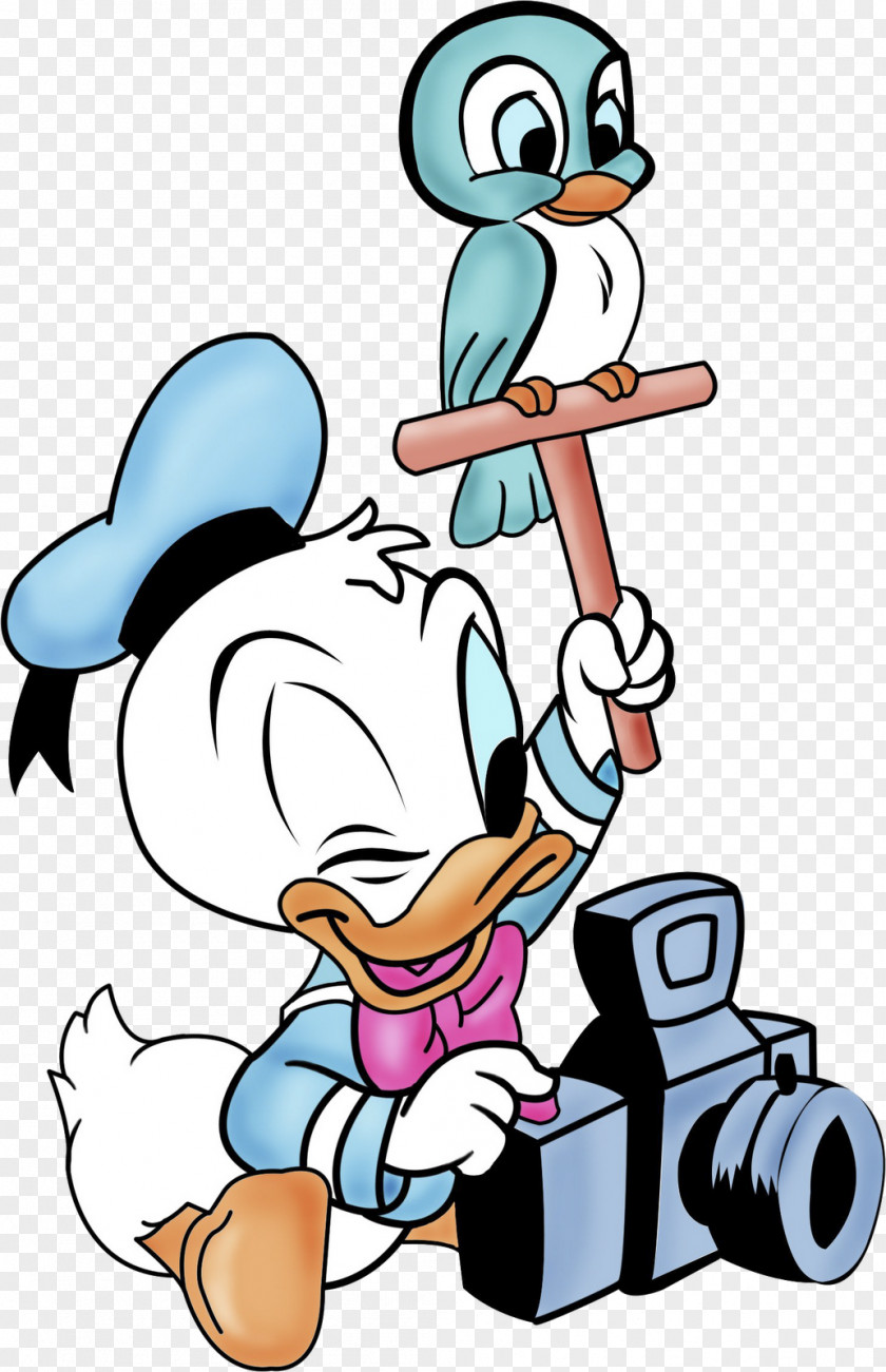 Donald Duck Minnie Mouse Mickey Daisy Pluto PNG