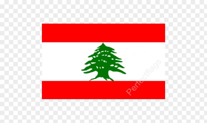 Flag Of Lebanon Jordan National PNG