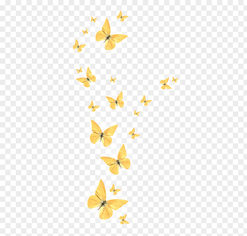 Golden Butterfly PNG