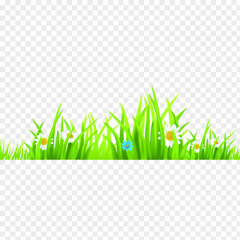 Grass Euclidean Vector Cdr Clip Art PNG