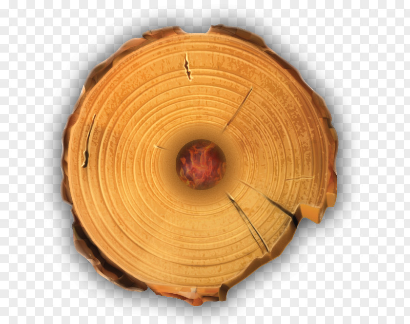 Header Wood Tree Stump Lumber Trunk Stock Photography PNG