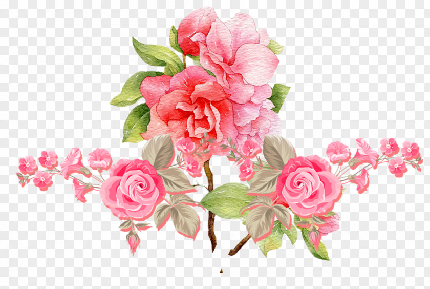 Pink Roses Beach Rose Flower PNG