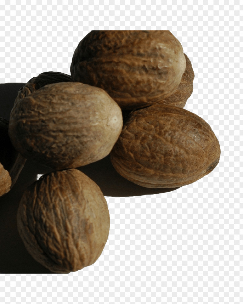 Spice Walnut Tree Nut Allergy Ingredient VY2 PNG