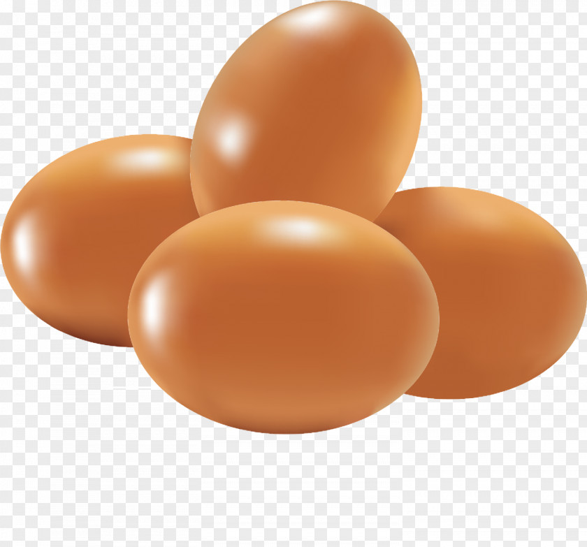 Vector Egg Chicken Food Eating PNG
