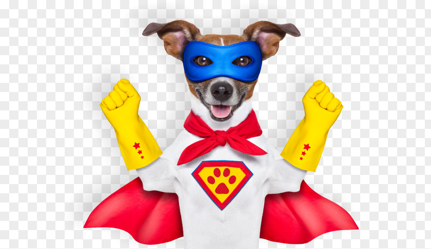 Wizard Dog Cliparts Superhero Stock Photography Royalty-free PNG