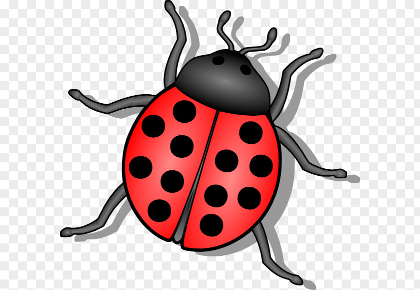 Beetle Cliparts Ladybird Drawing Clip Art PNG