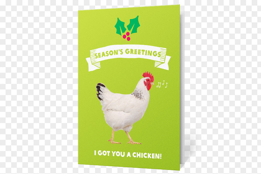 Gift Rooster Christmas Santa Claus PNG
